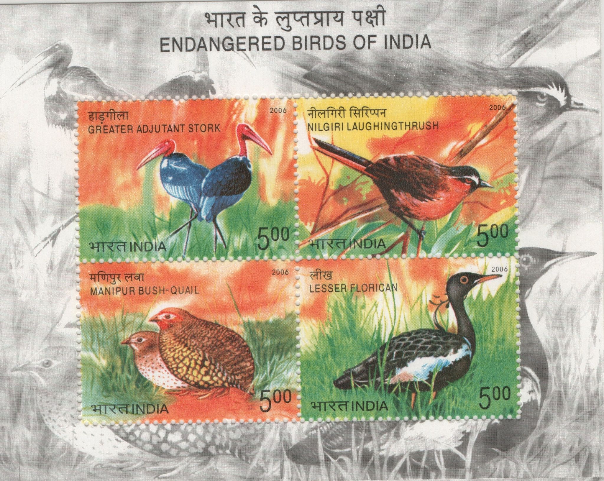 Shobhaphila's 2006 Endangered Birds of India Indian Miniature Sheet Stamp ( 5th Oct 2006) 