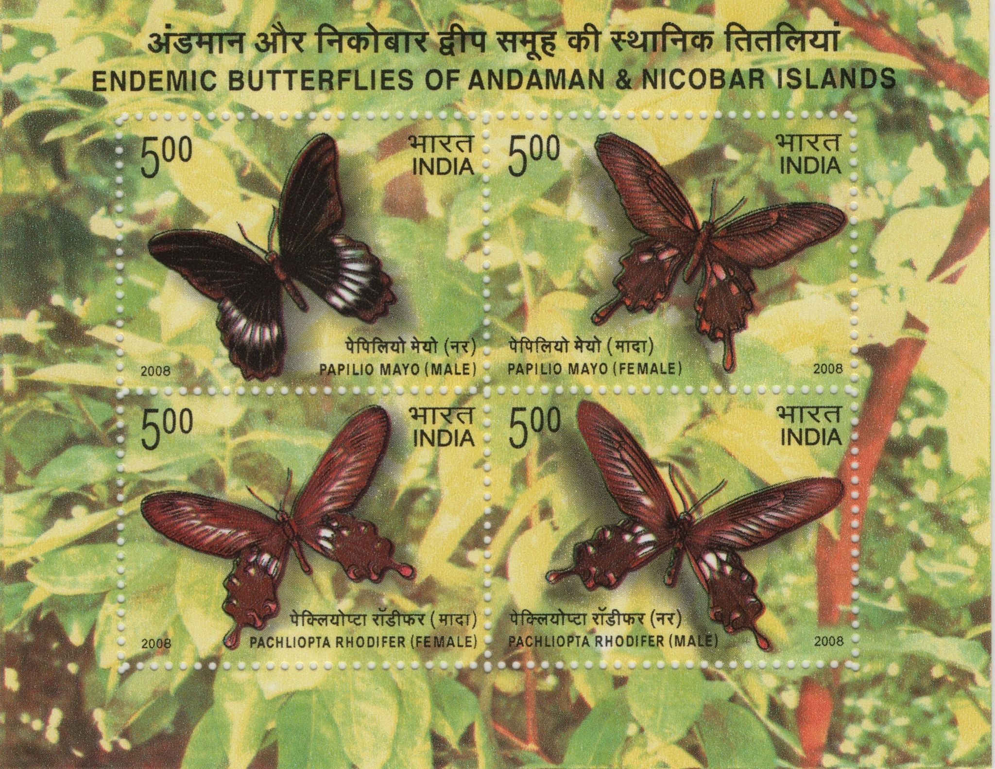 Shobhaphila's 2008 Endemic Butterflies of Andaman & Nicobar Islands Indian Miniature Sheet Stamp ( 2nd Jan 2008)