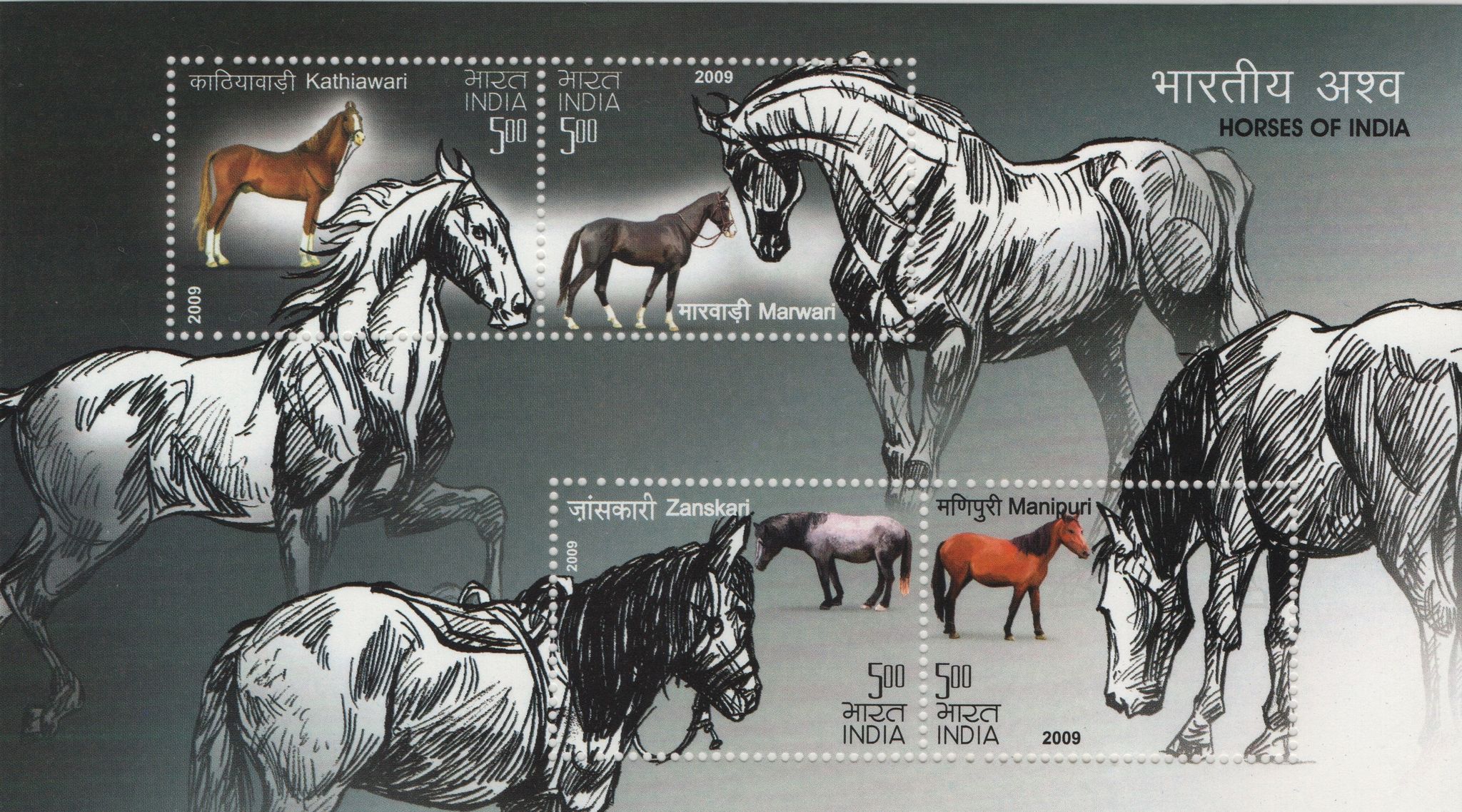 Shobhaphila's 2009 Horses of India Indian Miniature Sheet(9th oct 2009)