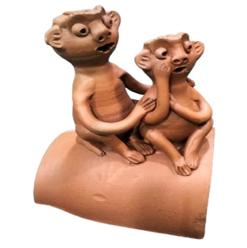 Monkey Family
