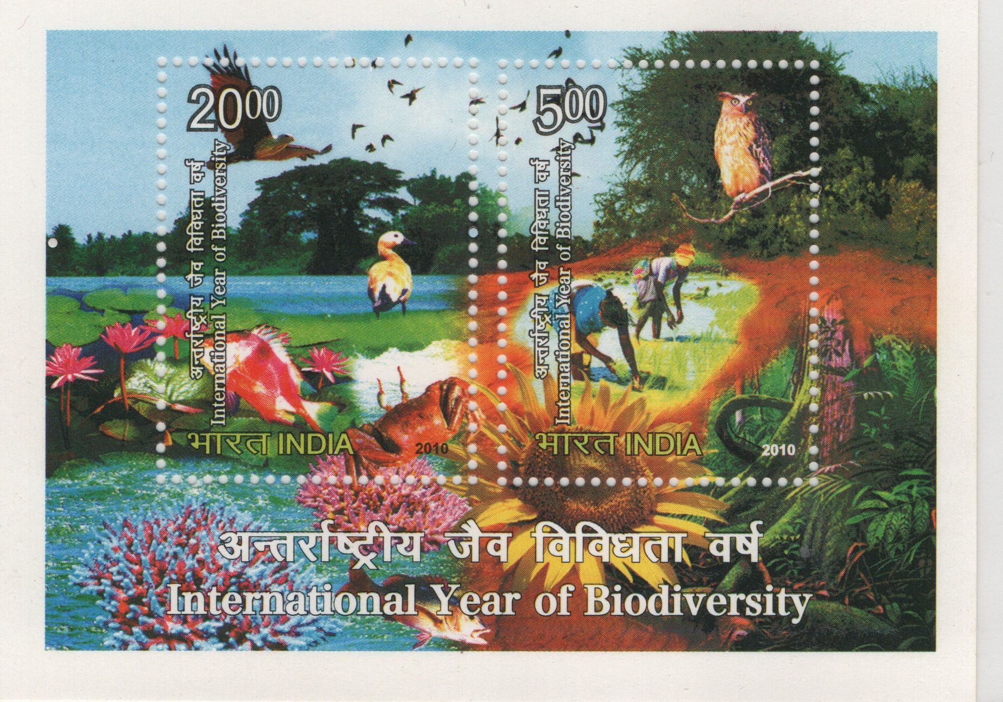 Shobhaphila's International Year of Biodiversity Indian Miniature Sheet Stamp ( 5th June 2010)