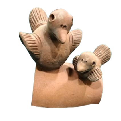 Loving Birds