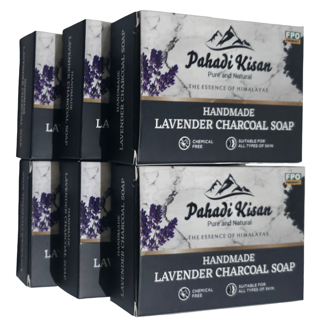 Lavender Charcoal Soap (Pack of 6)