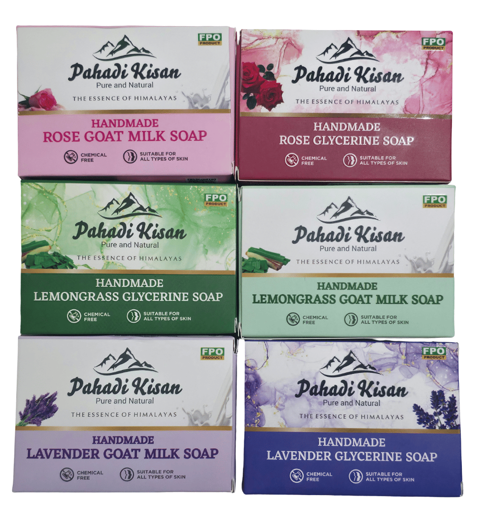 Bath Soaps Combo (Pack of 6)