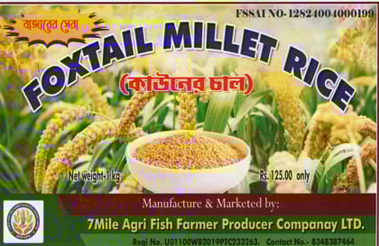 Foxtail Millet Rice