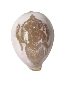 Embossed Cowrie Shell Decorative Art Embossed Cowrie Shell Decorative Art