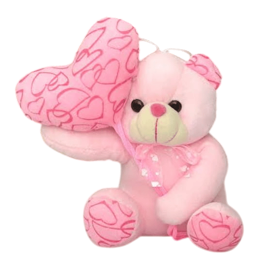 Teddy Bear with Heart Cushion