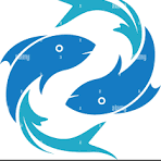 Fisher Men Dry Fish Business Fisher Men Dry Fish Business
