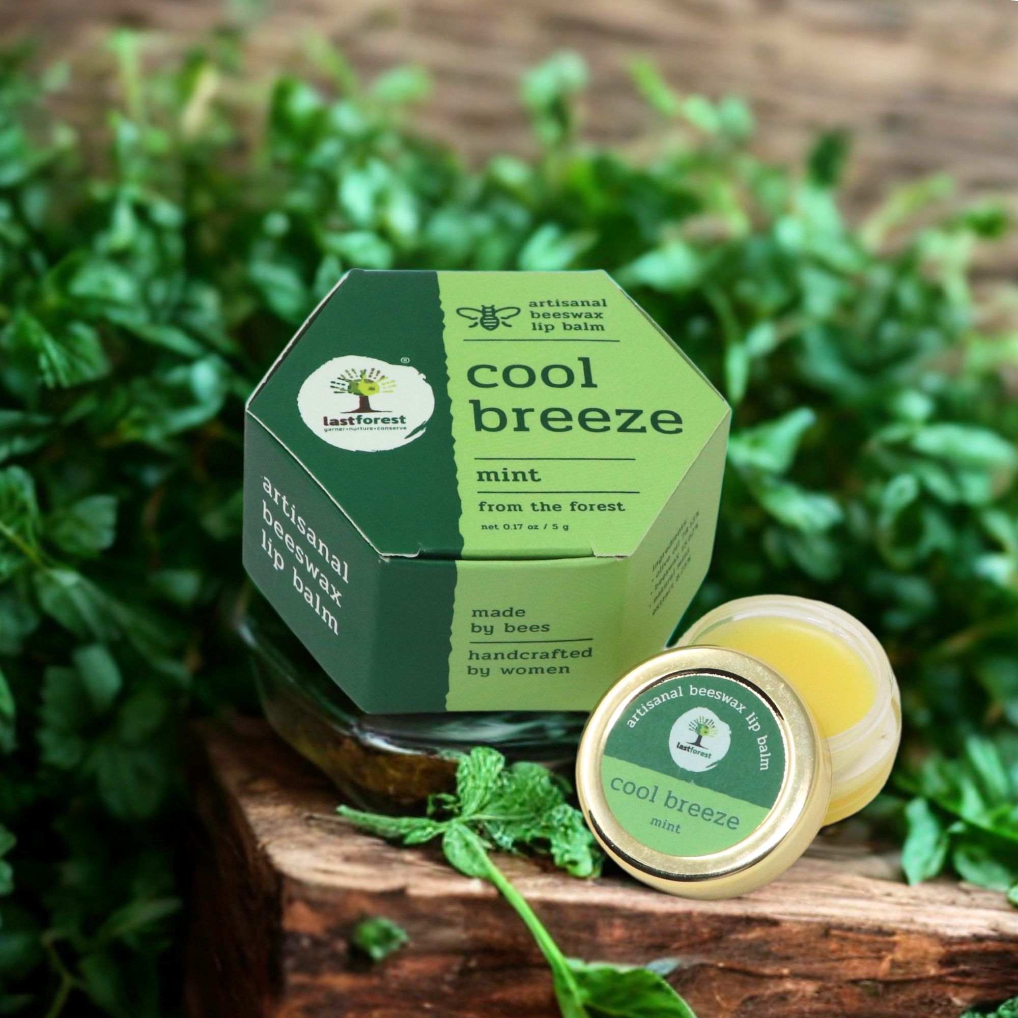 Last Forest Beeswax Natural Lip Balm for Men & Women 5g | Organic & Natural | Non-sticky | 24 Hrs Lip Moisturizer For Dry And Chapped Lips | SPF with Vitamin A | Nourish & Protect (Mint)