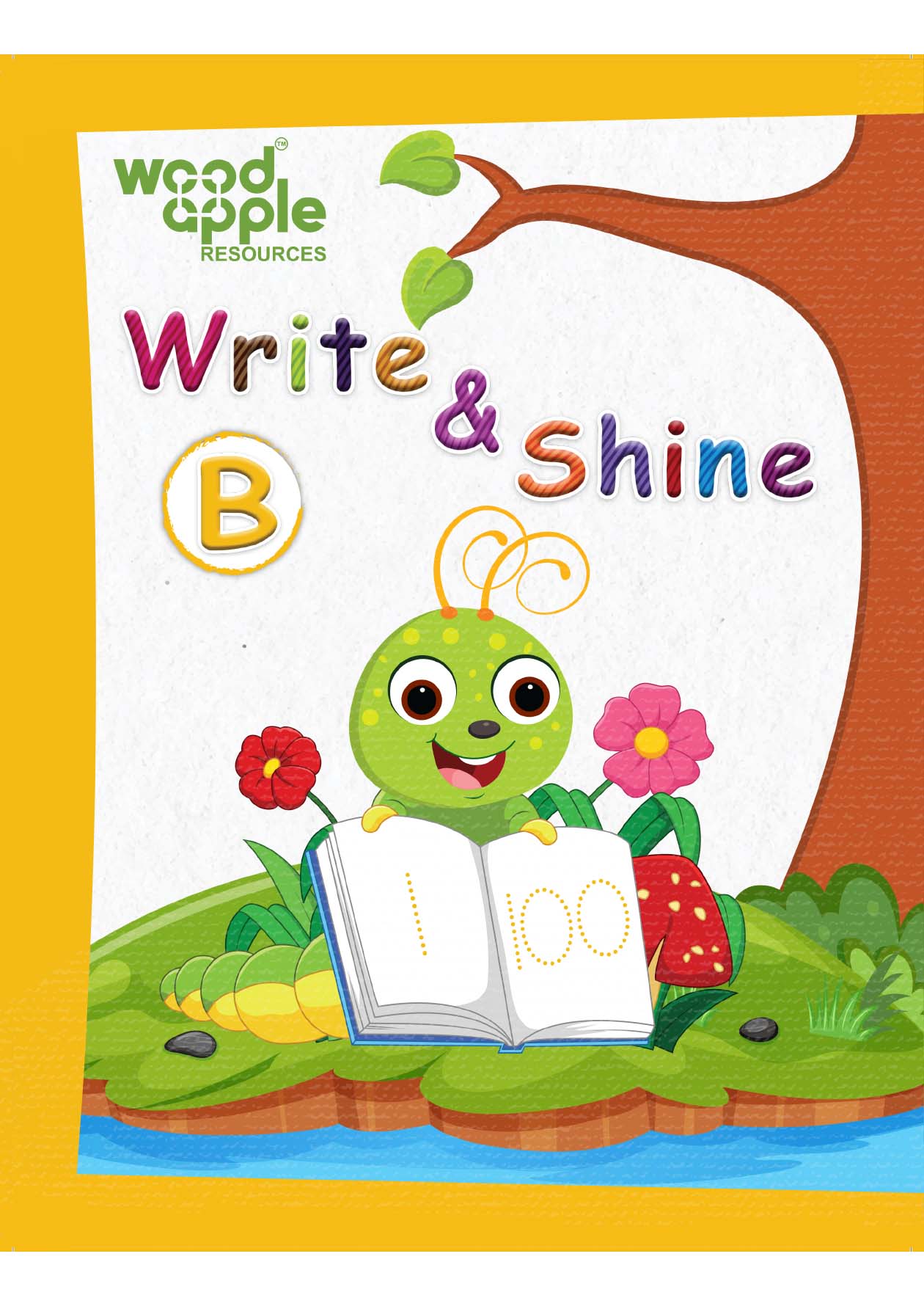 Write & Shine B (Maths) | Fun Activities and Engaging Practice Sheets | Ages 4-6 | Learn Counting, Number Name, Addition & Subtraction| Early Maths Skills| Colorful Exercises | Skill Based Sheets