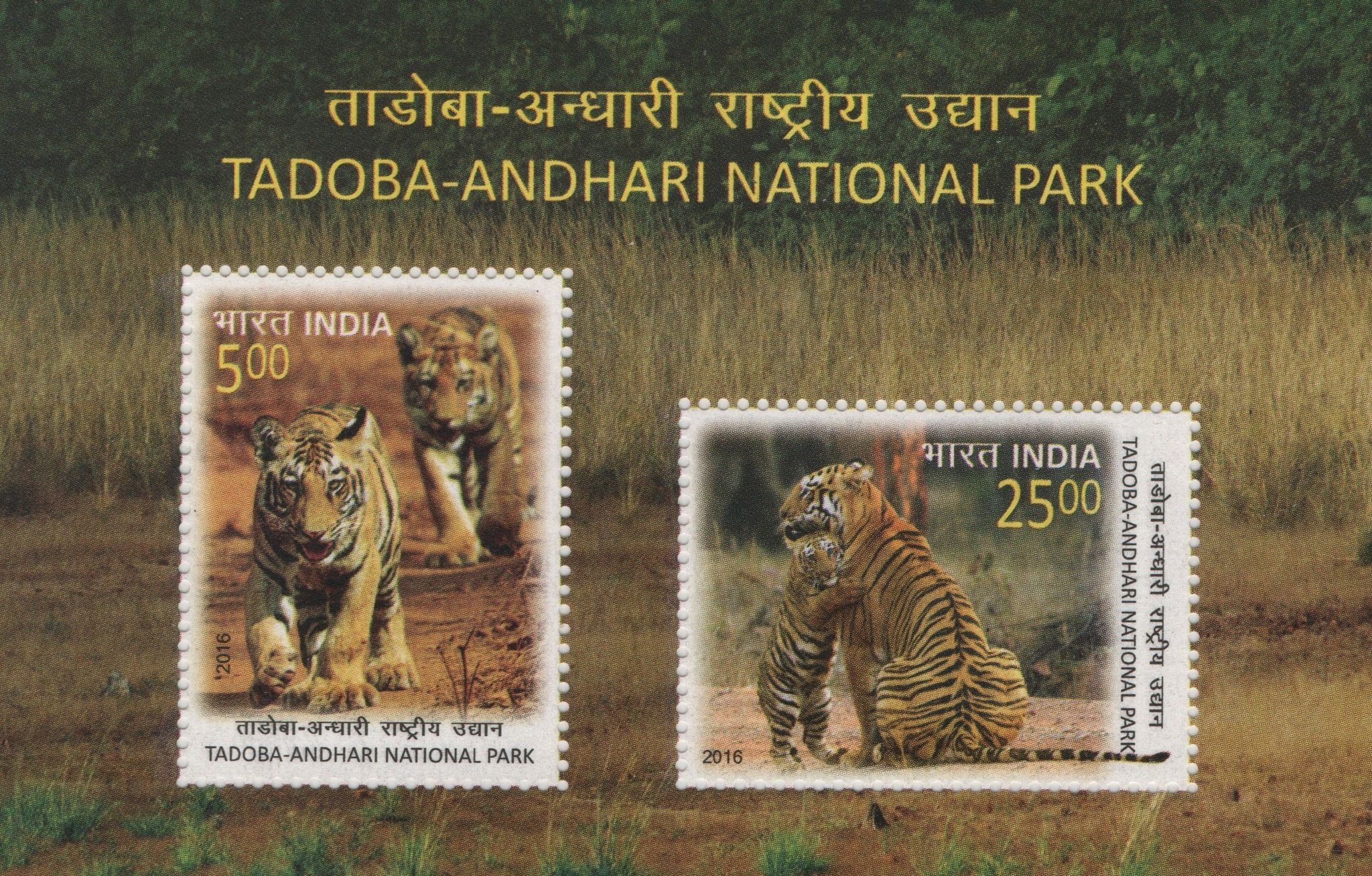 Shobhaphila's 2016 India Tadoba-Andhari National Park Tiger Indian Miniature SheetStamp (29th July 2016)