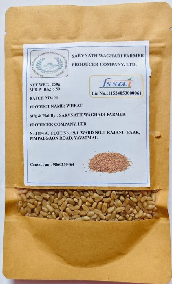 Wheat/ Gehu ( Pack of 4, 250 gram each packet)