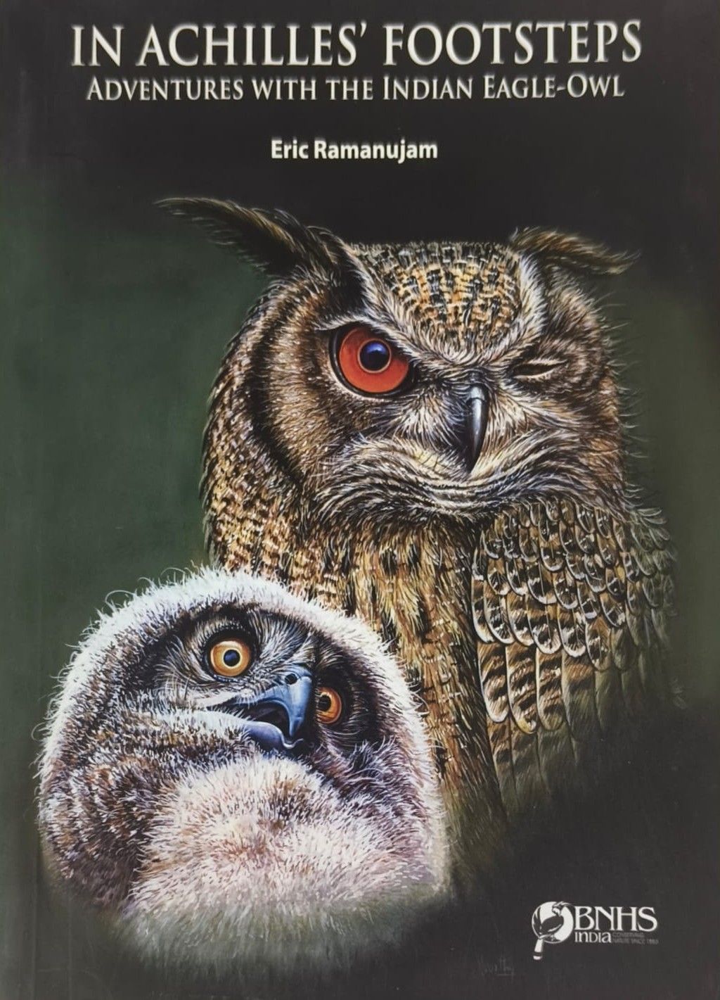 In Achilles' Footsteps - Adventures With the Indian Eagle Owl