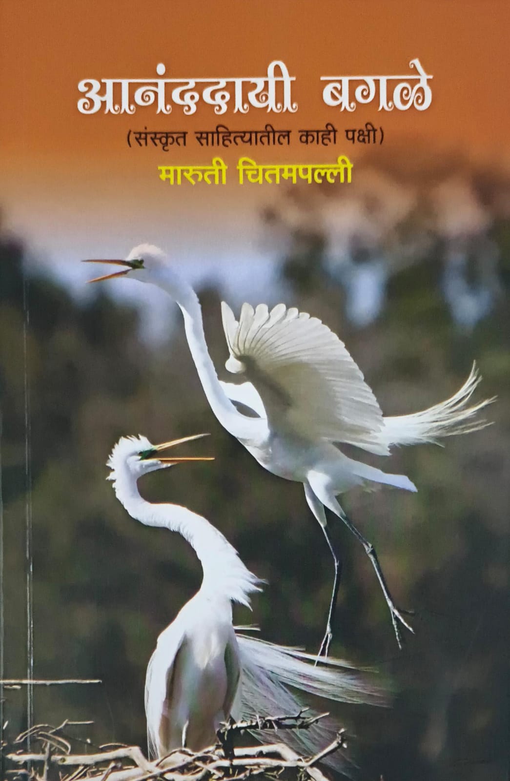 Ananddayee Bagale