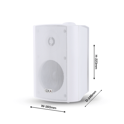 Ooka AUDiO i20 Wall Mount Speaker