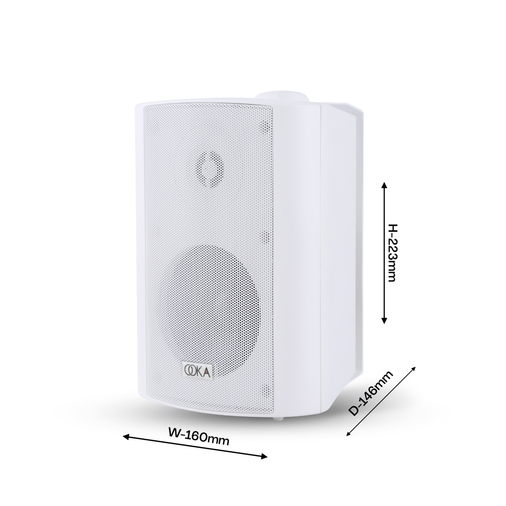 Ooka AUDiO i20 Wall Mount Speaker