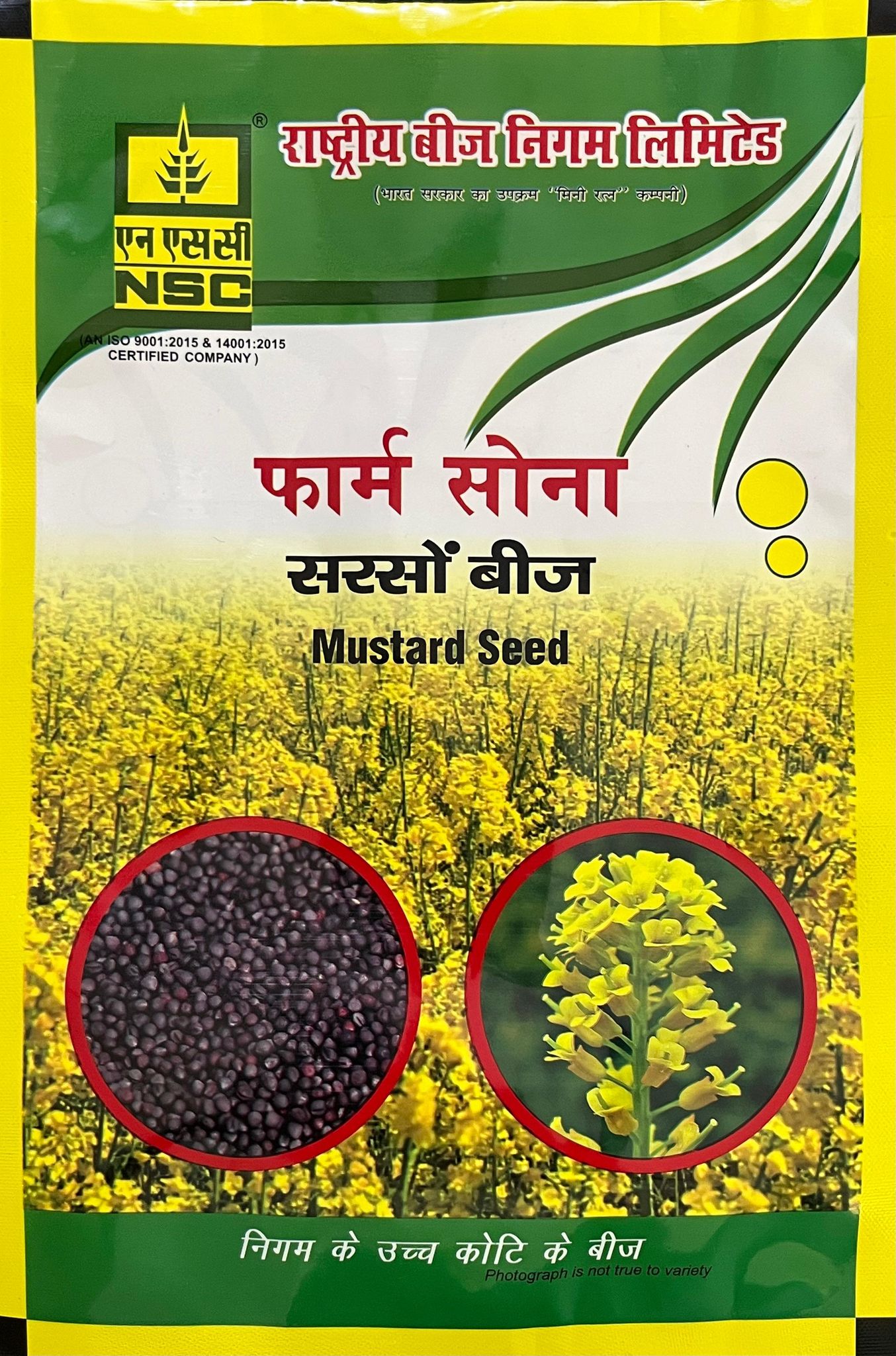 NSC MUSTARD VARITY RH-725 TRUTHFUL LABELLED SEED 1.0 Kg POLY PUCH