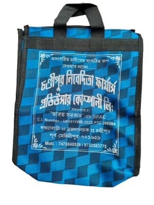 Eco-Friendly Blue Checkered Reusable Shopping Bag - Chandipur Nivedita Farmers