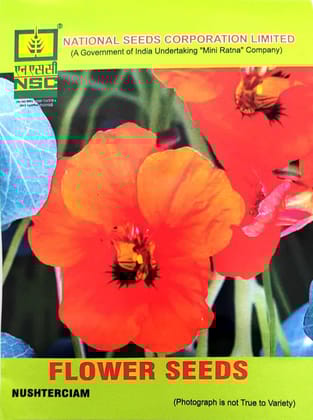 NSC Flower Seed - Nasturtium  - 5 gm