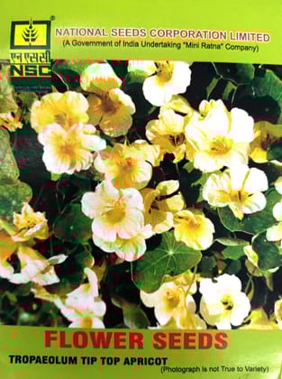 NSC FLOWER SEED- Trapaeolum Tip Top Apricot -(Cream Yellow Nasturtium) Seeds -10 gm