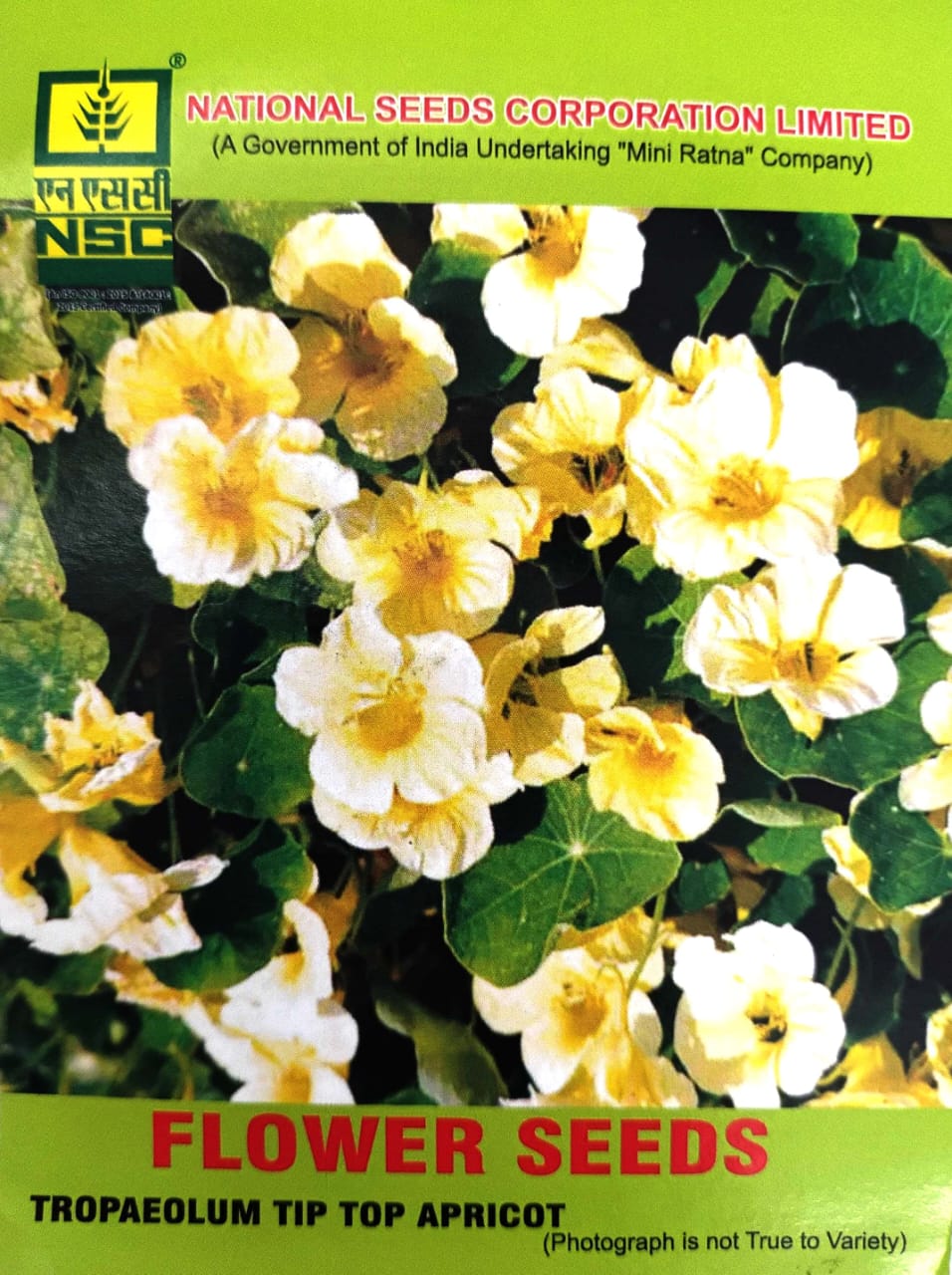 NSC FLOWER SEED- Trapaeolum Tip Top Apricot -(Cream Yellow Nasturtium) Seeds -10 gm