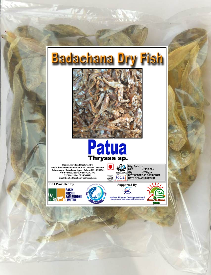 Patua | Thryssa sp. | Badachana Dry Fish | 250gm