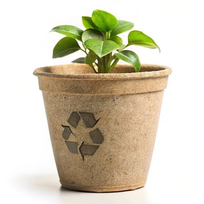 Eco-friendly plant pot