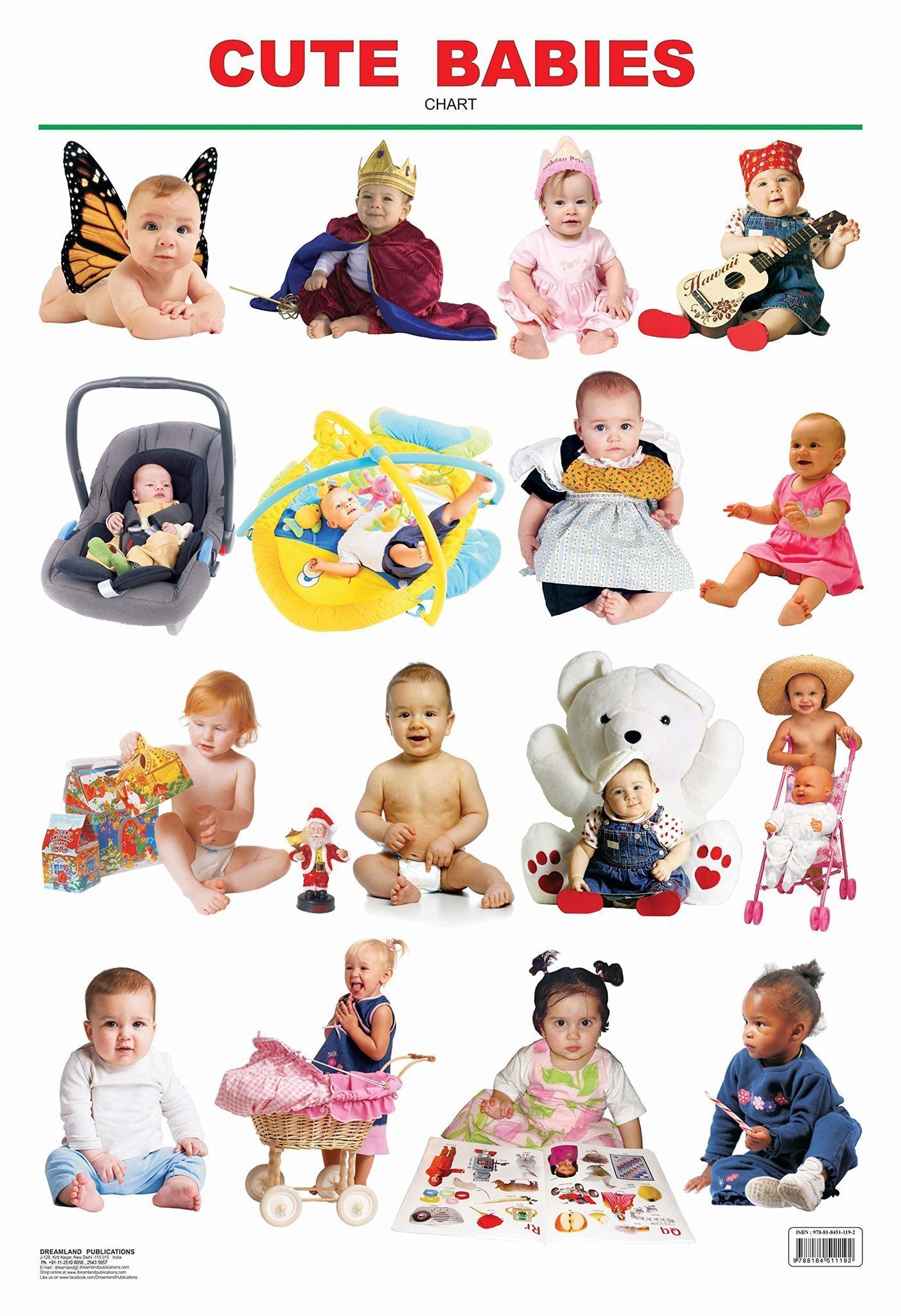 Cute Babies Educational Wall Chart For Kids - Both Side Hard Laminated (Size 48 x 73 cm) [Unknown Binding] NA