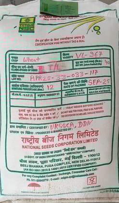 NSC WHEAT VARIETY VL 967 TRUTHFULLY LABELLED (TL) 40 KG BAG
