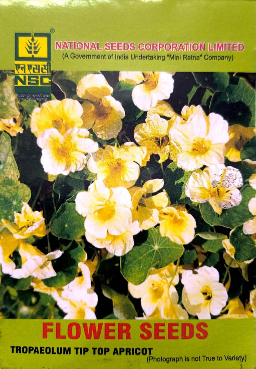 TROPAEOLUM TIP TOP APRICOT  10 GM PACK