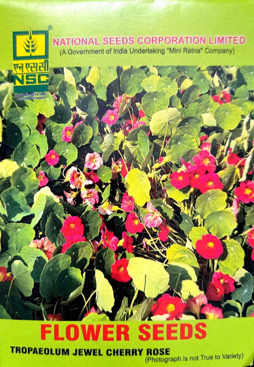 TROPAEOLUM JEWEL CHERRY ROSE 10GM PACK