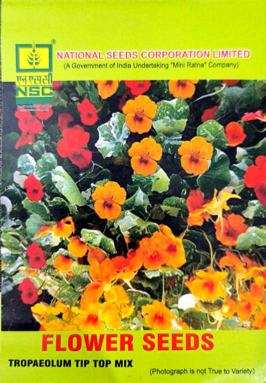 TROPAEOLUM TIP TOP MIX