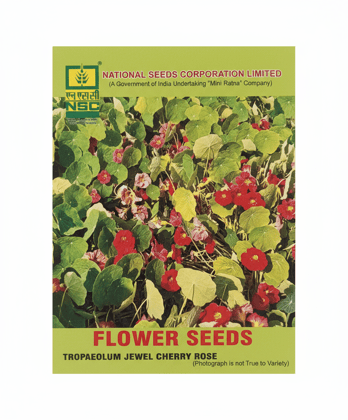 TROPAEOLUM TIP TOP MIX
