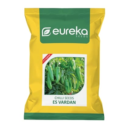 CHILLI ES VARDAN F1 HYBRID