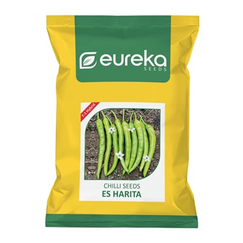 CHILLI ES HARITA F1 HYBRID