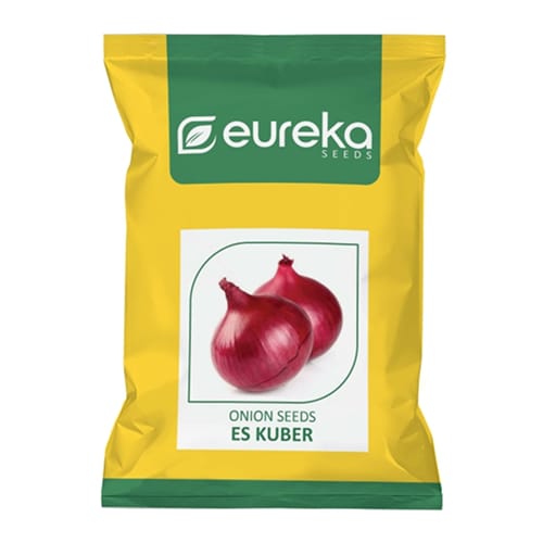 ONION ES KUBER IMPROVED