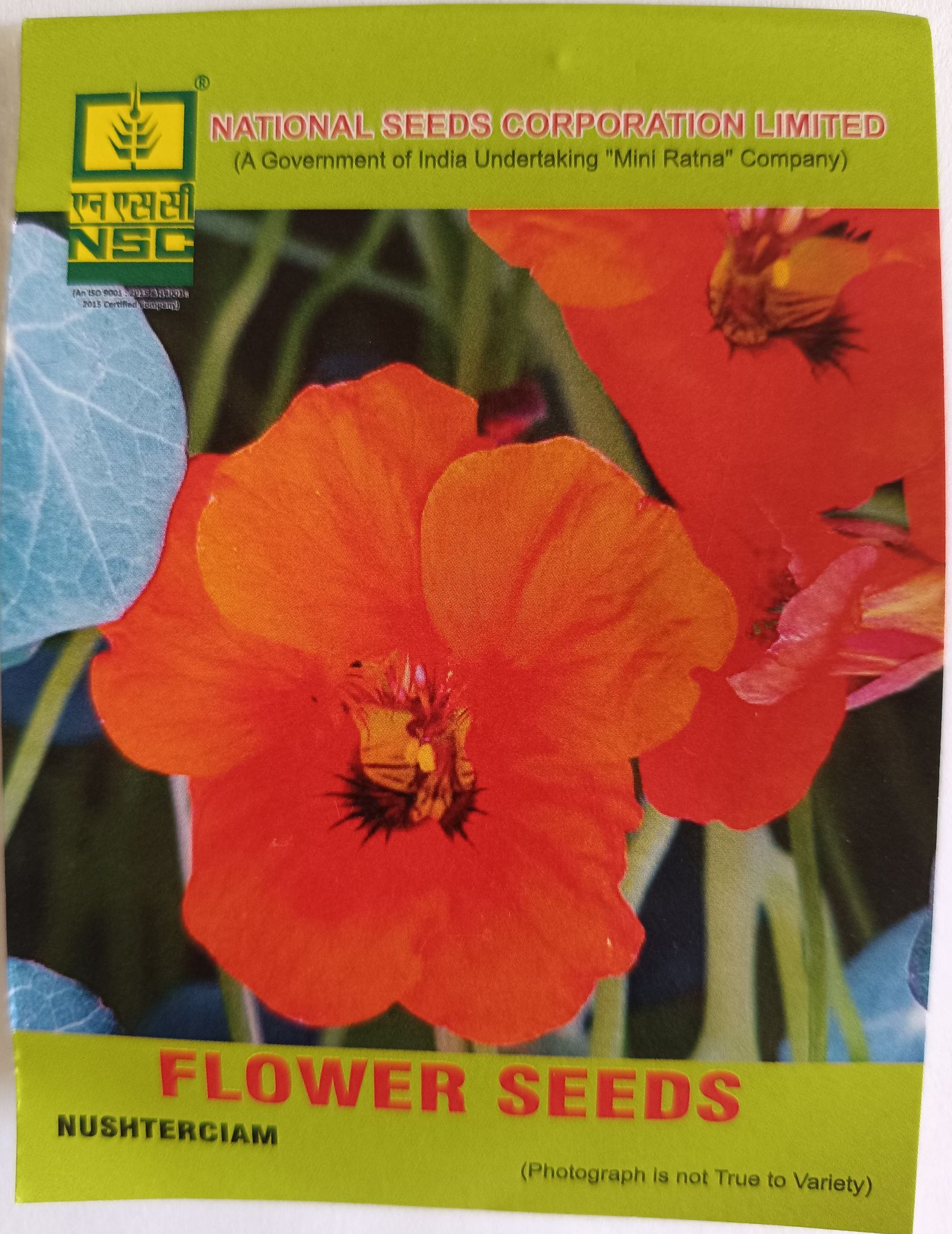 Nasturtium