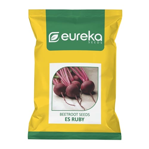BEETROOT ES RUBY IMPROVED