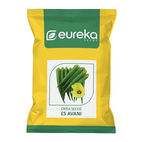 OKRA ES AVANI IMPROVED