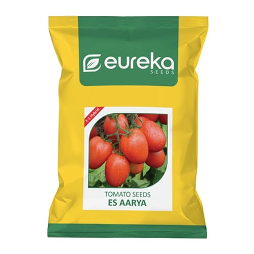 TOMATO ES AARYA F1 HYBRID