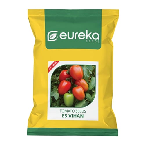 Tomato – ES Vihan F1 Hybrid