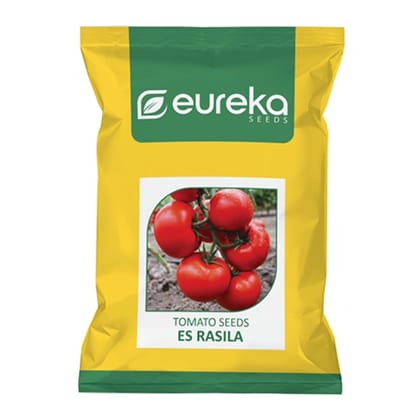 TOMATO ES RASILA IMPROVED