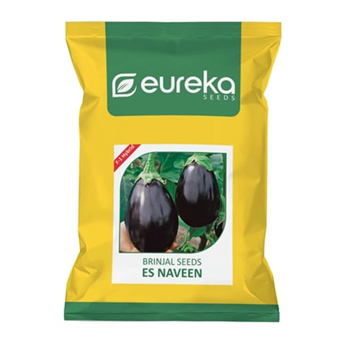 BRINJAL ES NAVEEN F1 HYBRID