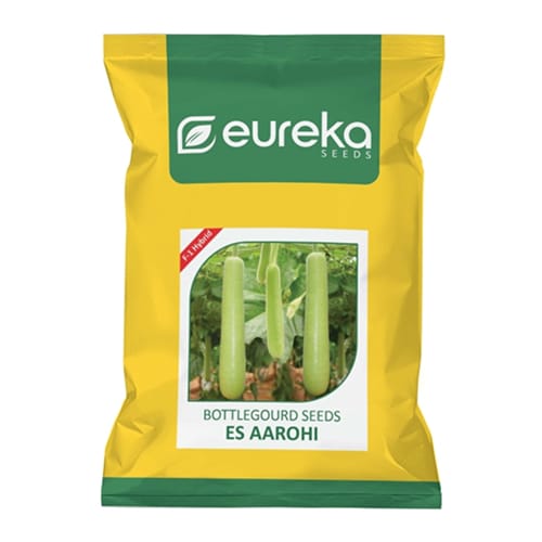 Bottle Gourd – ES Aarohi F1 Hybrid
