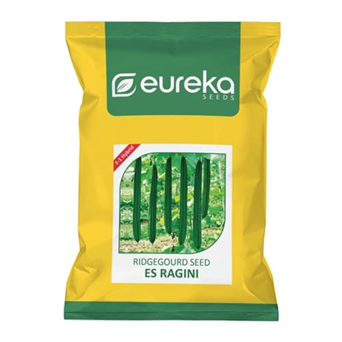 RIDGE GOURD ES RAGINI F1 HYBRID