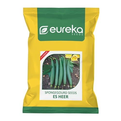 SPONGE GOURD ES HEER F1 HYBRID
