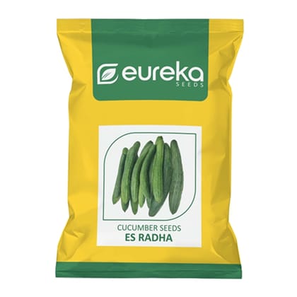 CUCUMBER ES RADHA IMPROVED