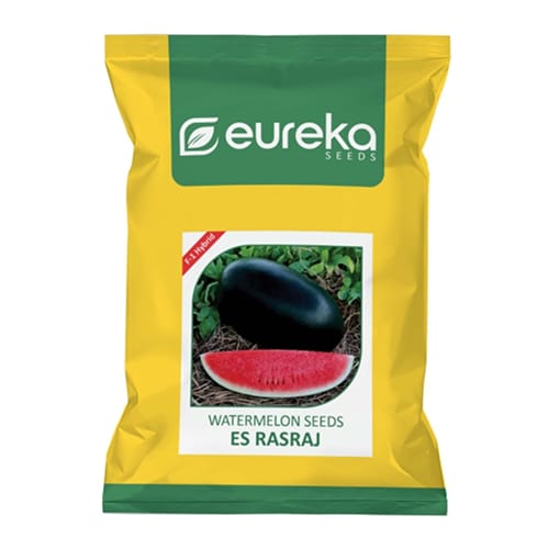 WATERMELON ES RASRAJ F1 HYBRID