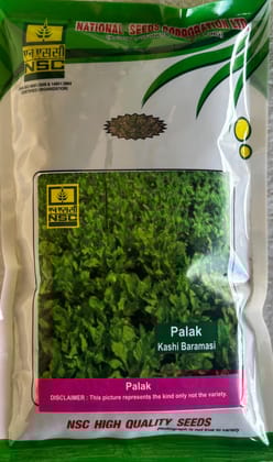 NSC Palak Kashi Baramasi TL Seed 250 gm pouch