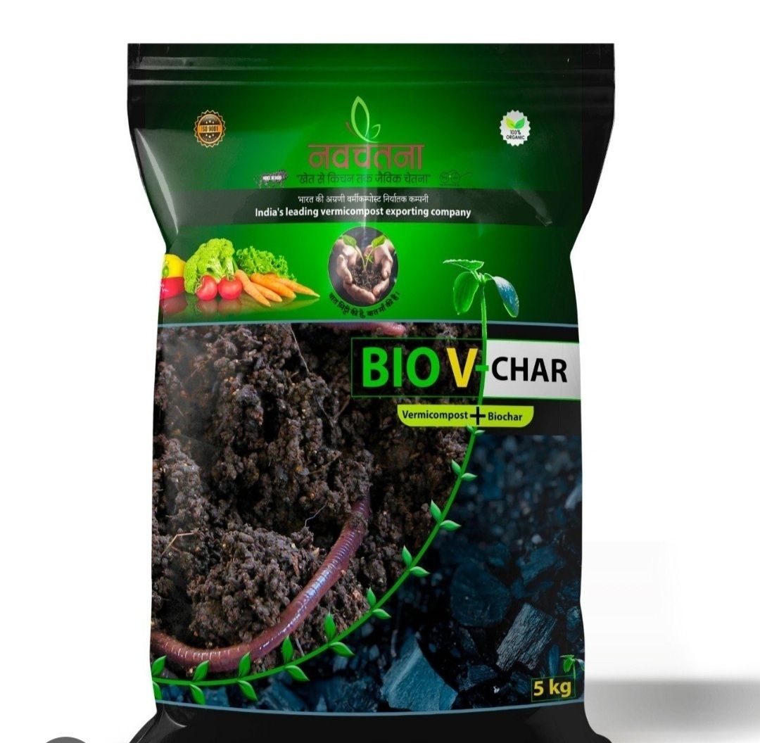 BioV-char